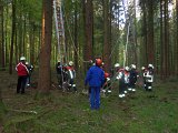 Maibaum_2016 (11).JPG